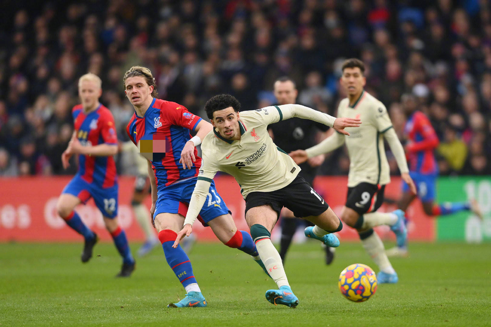 这意味着他 这意味着他